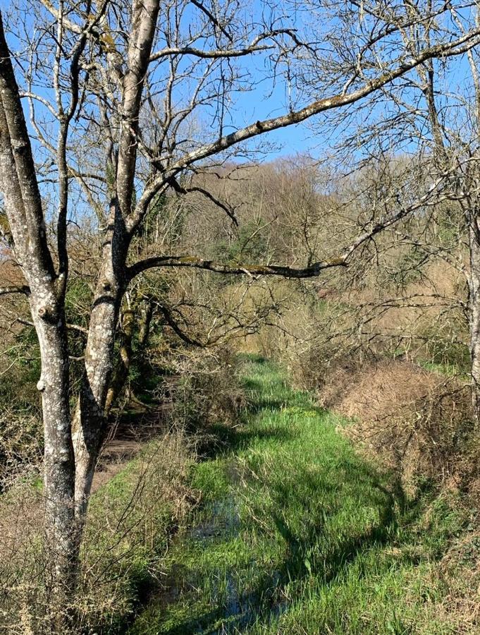 Appartamento Linden Retreat Brimscombe Esterno foto
